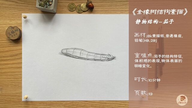 4.金橡树绘画静物结构素描《卧着的茄子》