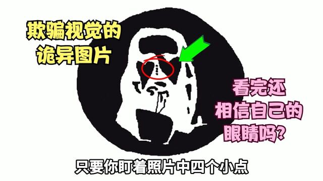 8张欺骗视觉的图片,看完让你质疑自己的眼睛!