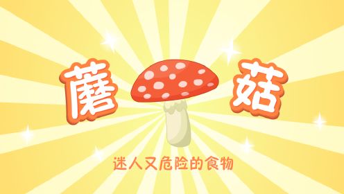 第14集：蘑菇——迷人又危险的食物