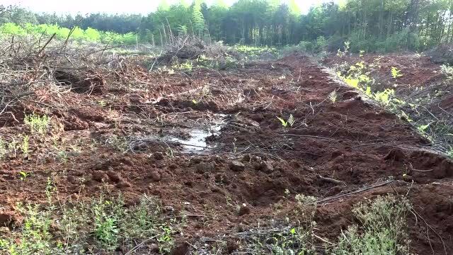 黄力调研全县重点项目建设推进情况