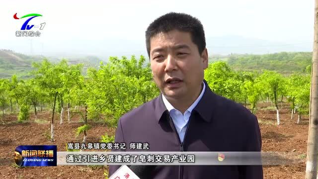 【视频】嵩县:因地制宜选择富民产业 让群众普遍富裕起来