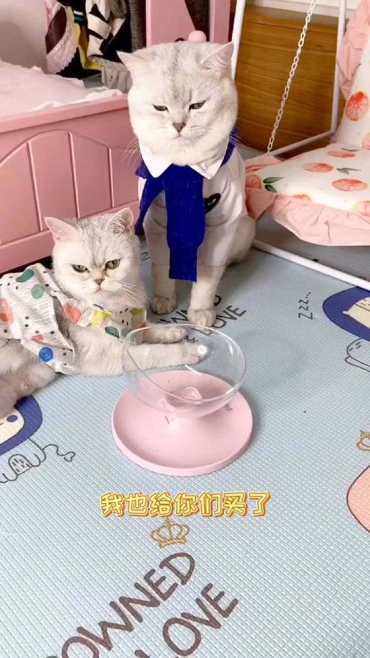 小豆花mom的个人页