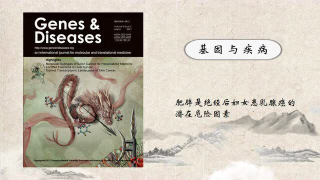 【秒读论文|视频版】Genes & Diseases:肥胖是绝经后女性患乳腺癌的潜在风险因素