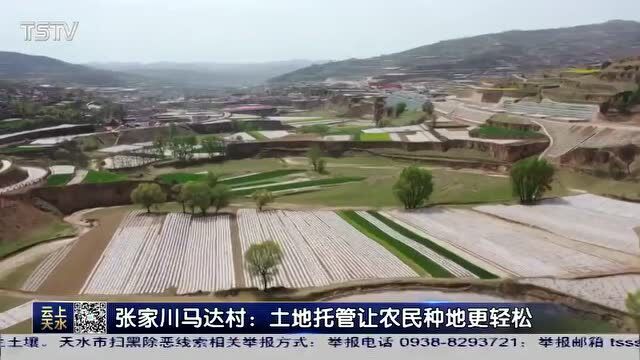 张家川马达村:土地托管新模式!让农民种地更轻松