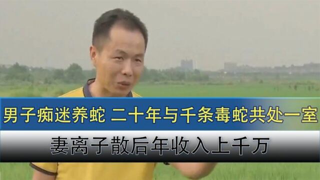 农村男子痴迷养毒蛇,靠一手“玩蛇”绝技,成为全国养蛇第一人