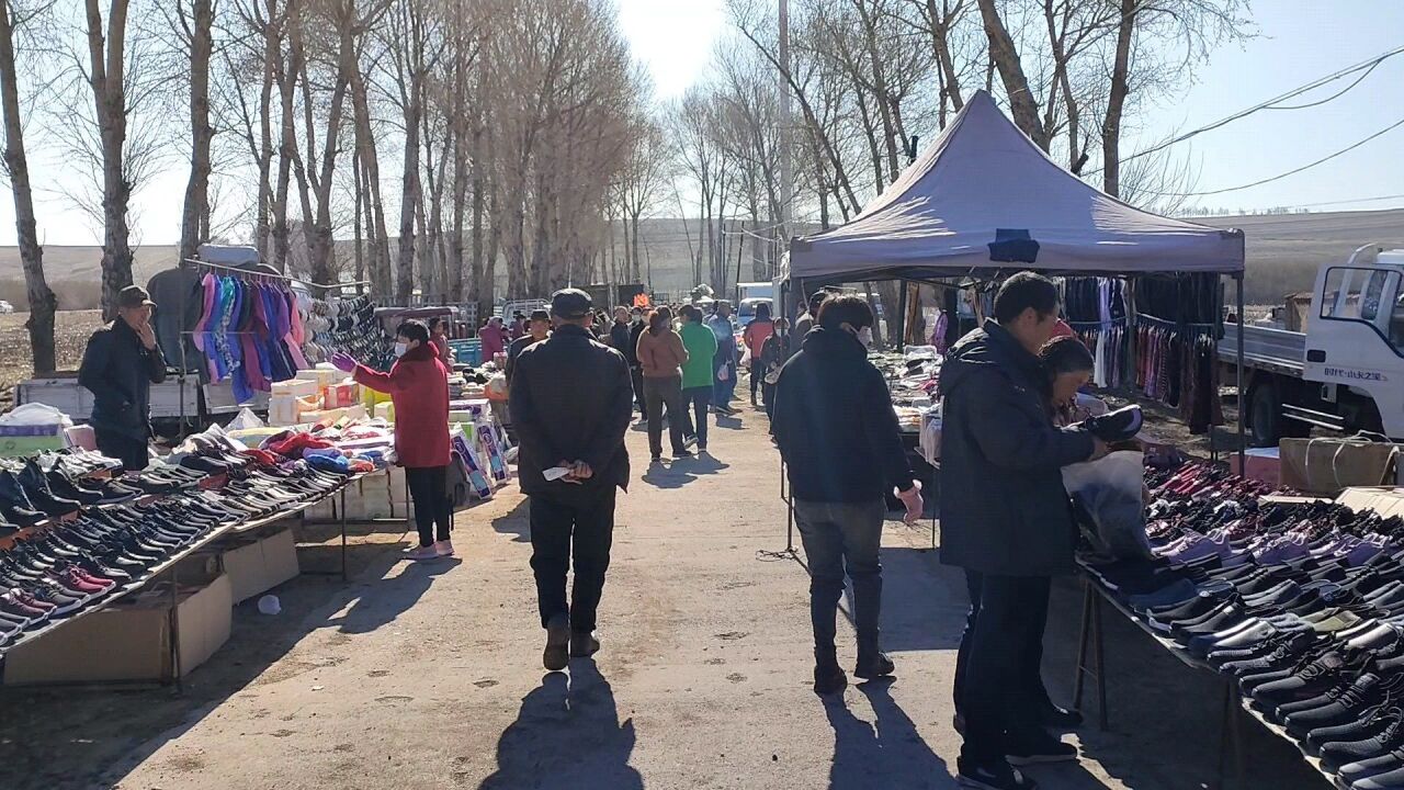 东北农村的大集太热闹了,满街全是人,麻花7块一斤,太好玩了