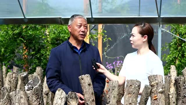 创建天府旅游名县青川进行时丨用好山珍品牌,让农业成为有奔头的产业