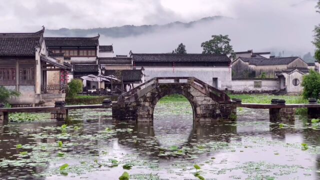 古桥荷塘风景