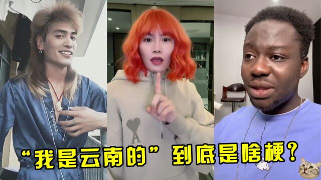 “我是云南的”太火了!短短几天就31亿播放,老外都被洗脑了!