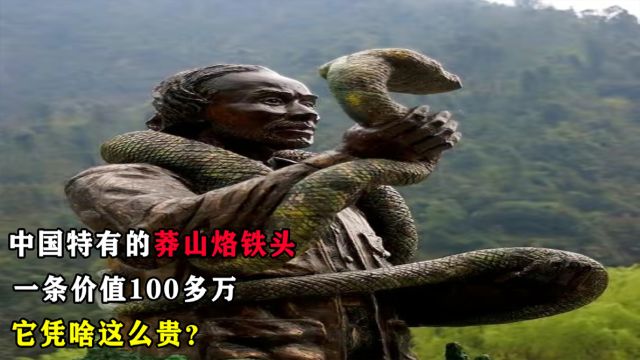 中国特有的莽山烙铁头,一条价值100多万,它凭啥这么贵?