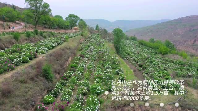 花开富贵来!原州区有个宝藏山庄了解一下