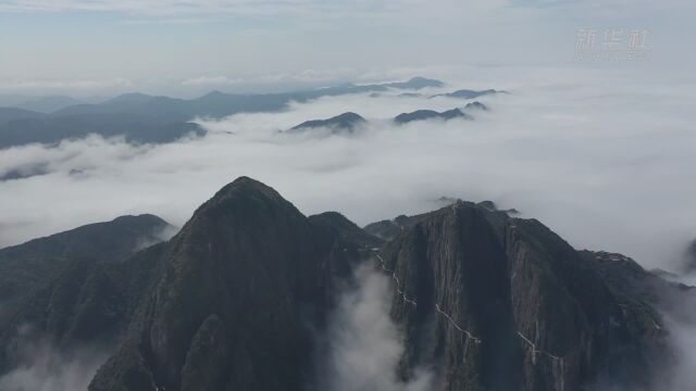 云海流淌五指峰 仙境莽山美如画