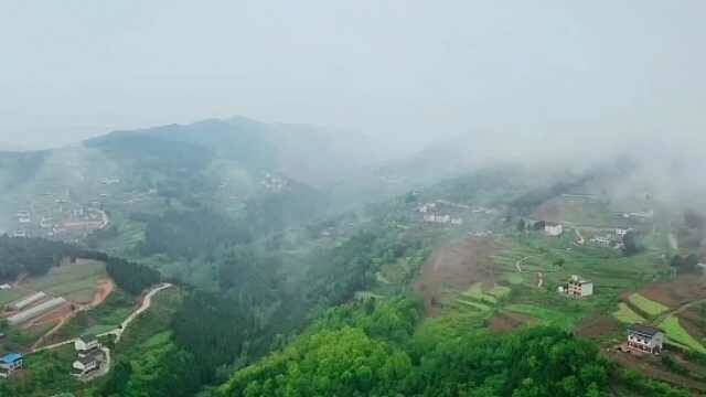 芳香南山景区沿和平、元山、建设三村山顶旅游公路呈带状分布