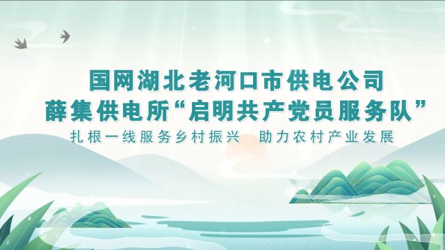 国网湖北老河口市供电公司薛集供电所“启明共产党员服务队”,扎根一线服务乡村振兴,助力农村产业发展