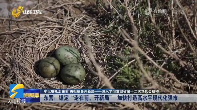 东营:锚定“走在前、开新局” 加快打造高水平现代化强市