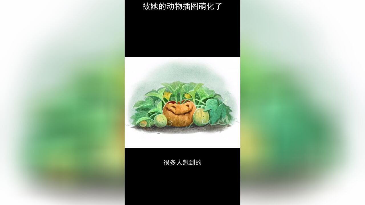 被她的动物插图萌化了,连成年人都会爱上