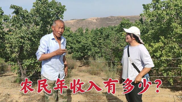 山西偏关,黄土高坡朴实的农民,一年收入有多少?