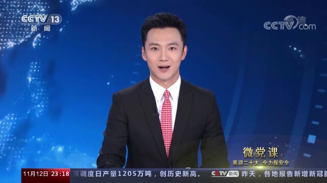 “牢记领袖训词 永做忠诚卫士”主题教育微党课