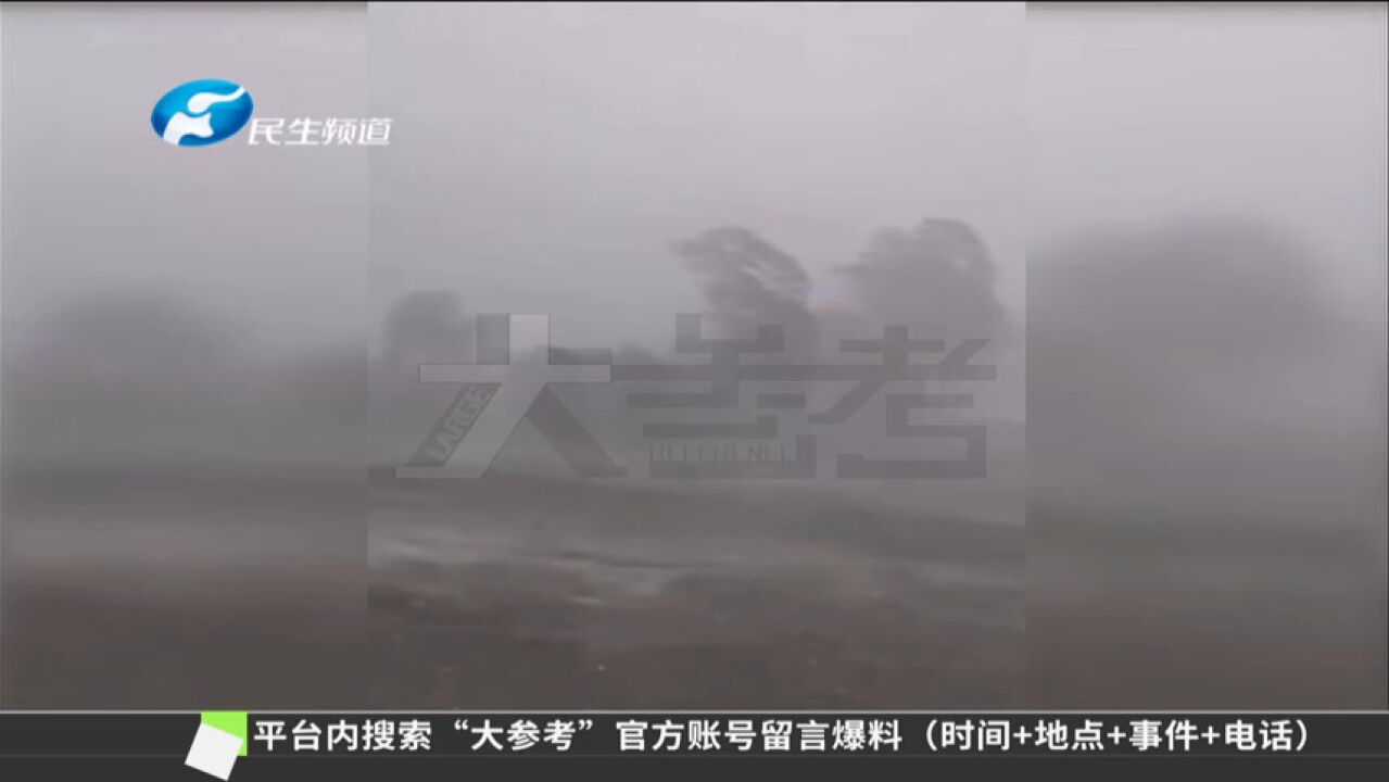 下雨啦!河南多地迎来降雨,降温不忘防汛情