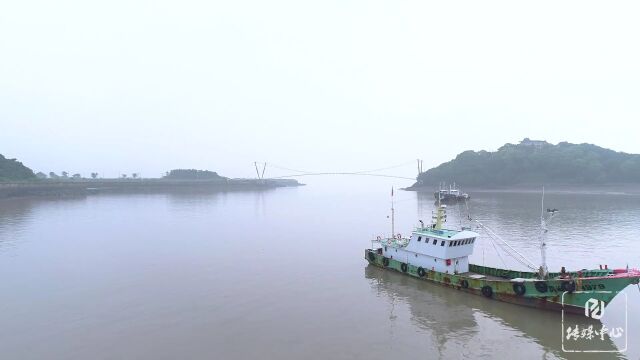 昨夜中考成绩出炉!平湖历年录取分数线对比来了