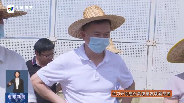 省市人大代表到惠东县调研产业园及重大项目建设情况