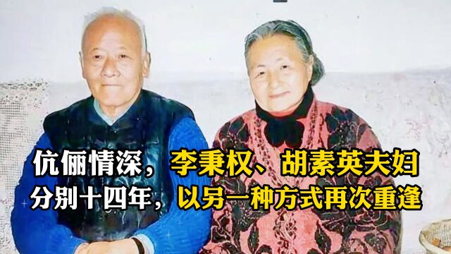 伉俪情深,李秉权,胡素秋夫妇,阔别14年后,以另一种方式再次重逢