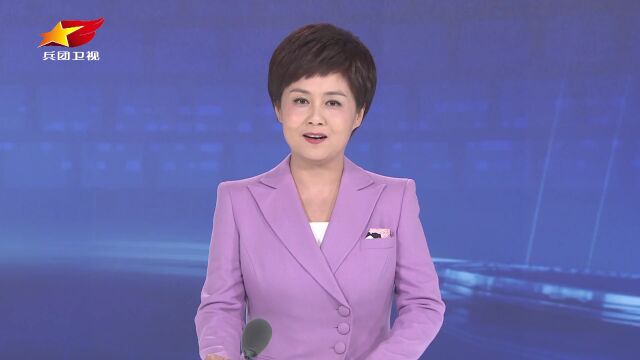 十一团:杏产业铺就香甜致富路