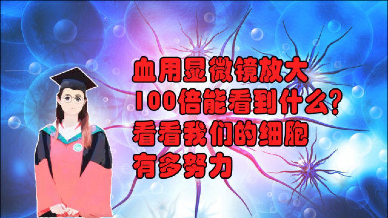 显微镜把我们的血液放大一百倍是什么样子的?看看我们的细胞每天有多努力