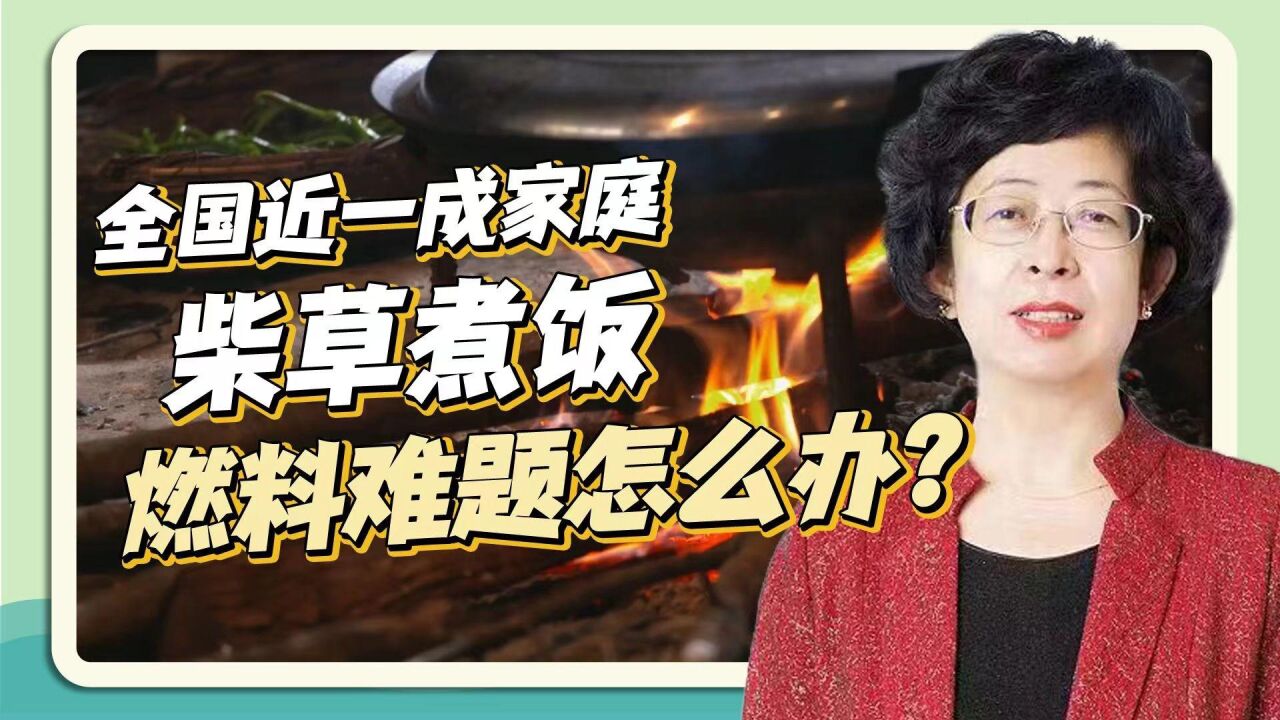 一成农户用柴草煮饭?王金霞:通过技术和政策扶持让农民变废为宝