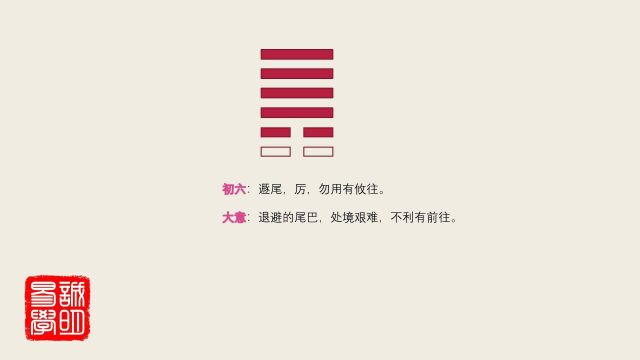 226这样讲易经,实在太清楚了,诚明易学遁卦初九:遁尾,厉