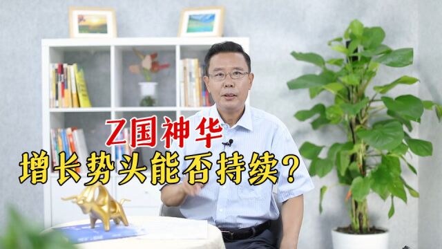 中国神华增长势头 能否持续?