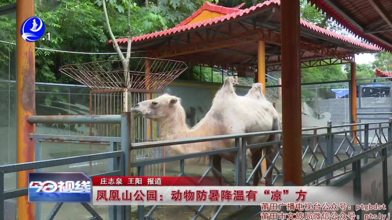 凤凰山公园:动物防暑降温有“凉”方