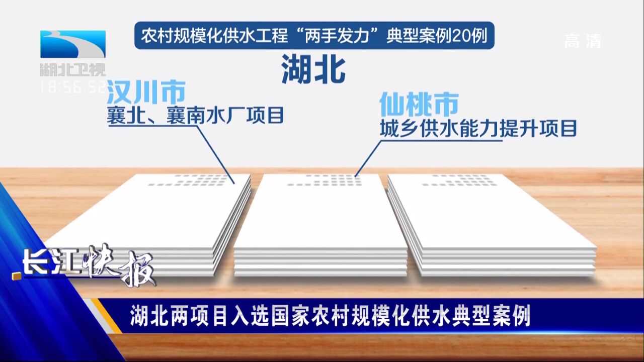 湖北两项目入选国家农村规模化供水典型案例