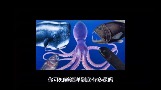 深海之谜探索海洋