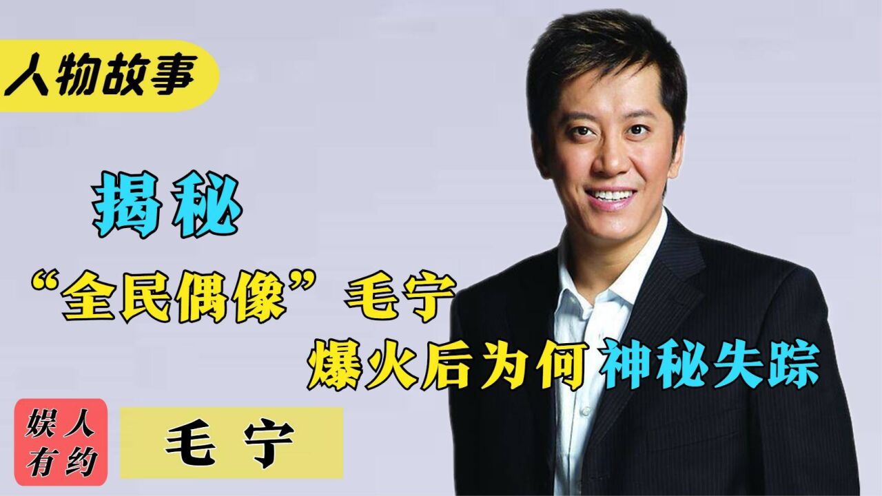 毛宁:从顶流歌手到无人问津,多次复出仍不被原谅,他都做了什么