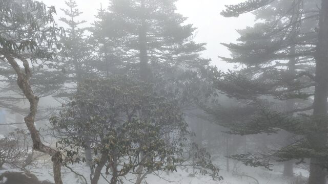 最美轿子雪山