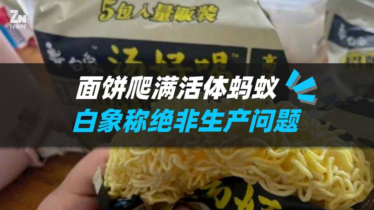 被曝面饼爬满活体蚂蚁,白象赔付1000元,并称绝非生产问题