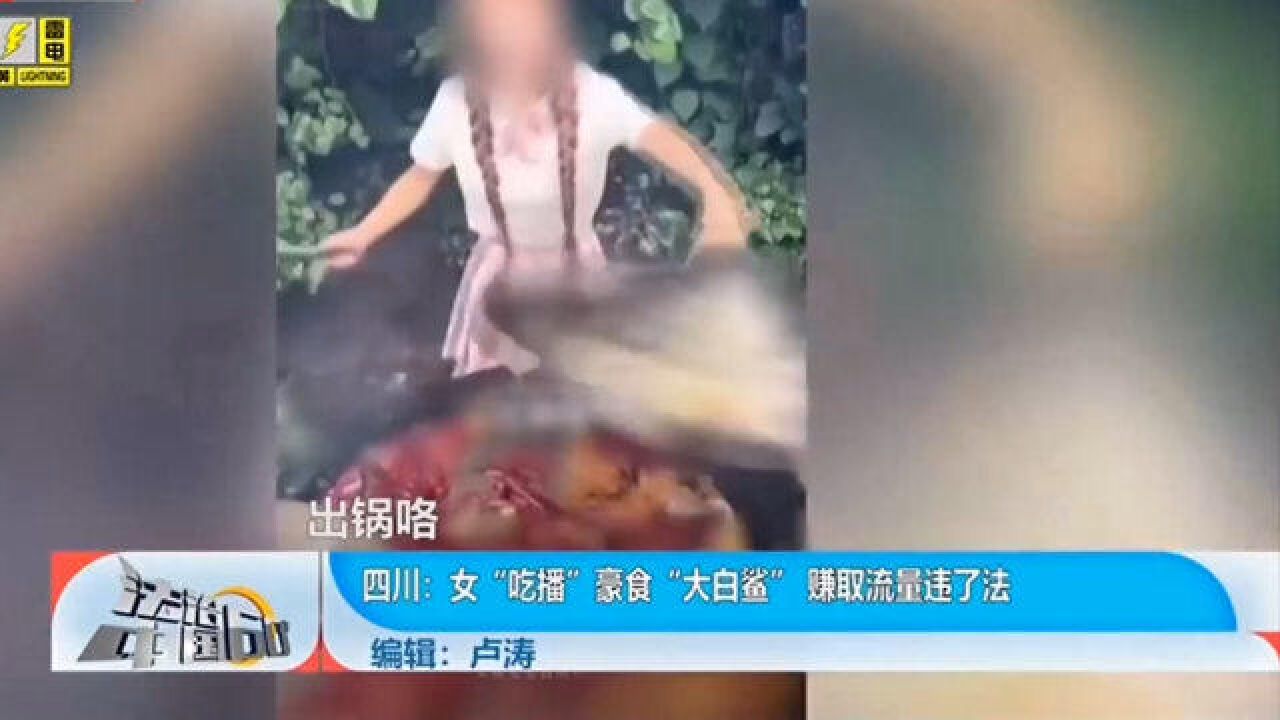 女“吃播”豪食“大白鲨”,赚取流量违了法