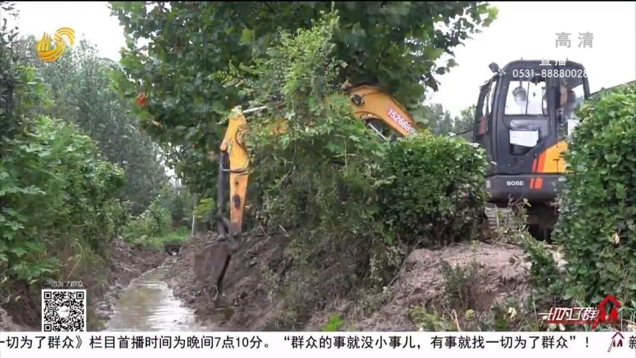 茌平:农技专家“把脉支招”帮助农户雨后管理,确保作物正常生长