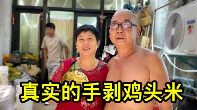 苏州鸡头米上市了,老板说受到外地产品冲击,生意不好做