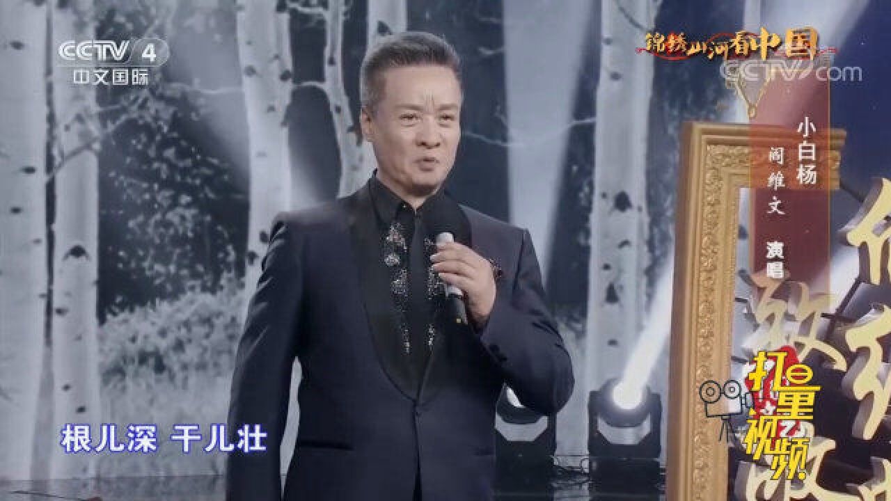 阎维文演唱经典代表作《小白杨》,旋律优美,动人心弦