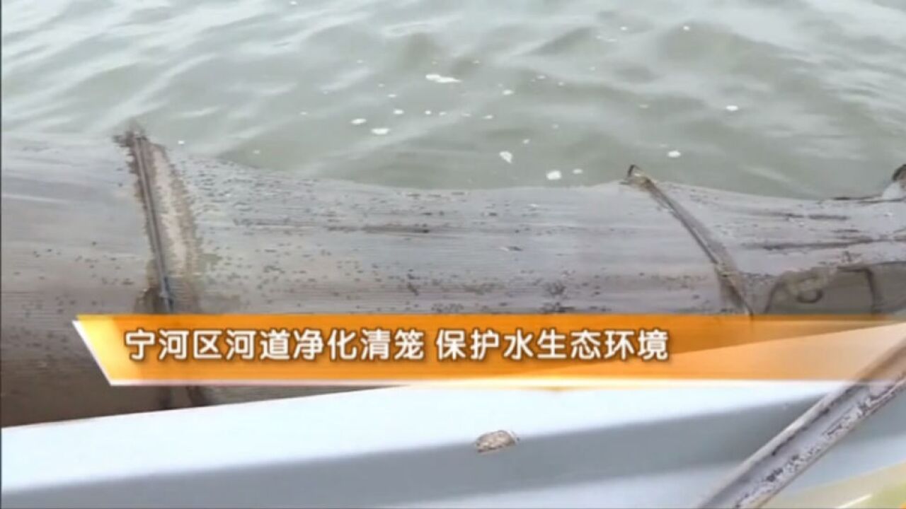 宁河区河道净化清笼,多举措保护水生态环境