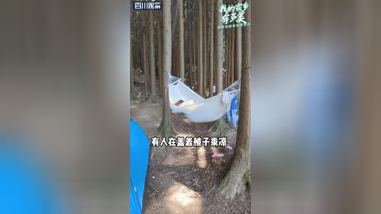 我的家乡有多美|月坝村的静心之旅