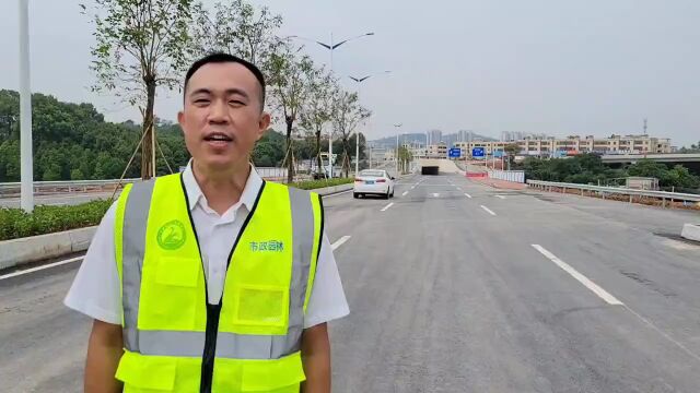 正式通车!惠州首条城市快速路来了!