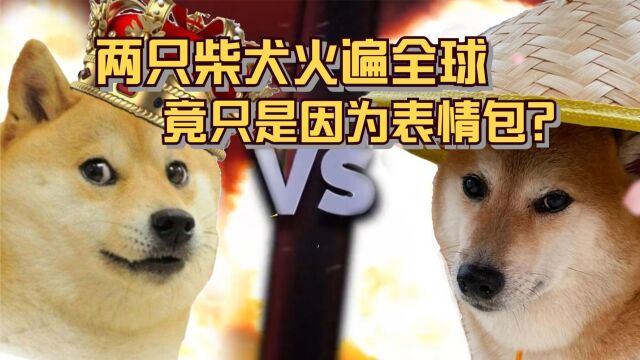 凭啥两只柴犬狗狗火遍全球,原因居然是被做成表情包?