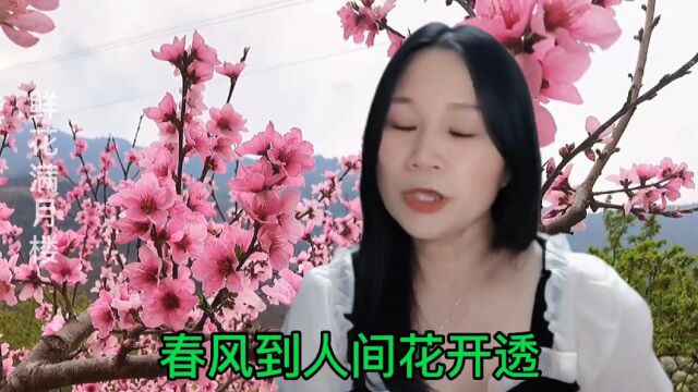 七十年代粤语经典老歌,张德兰《鲜花满月楼》歌声缠绵动听