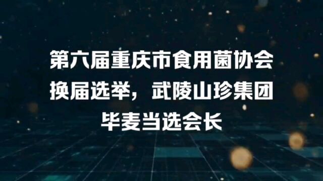 第六届重庆市食用菌协会换届选举武陵山珍毕麦当选会长#武陵山珍#百菇菌汤#养生产业