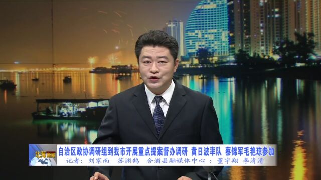 自治区政协调研组到我市开展重点提案督办调研