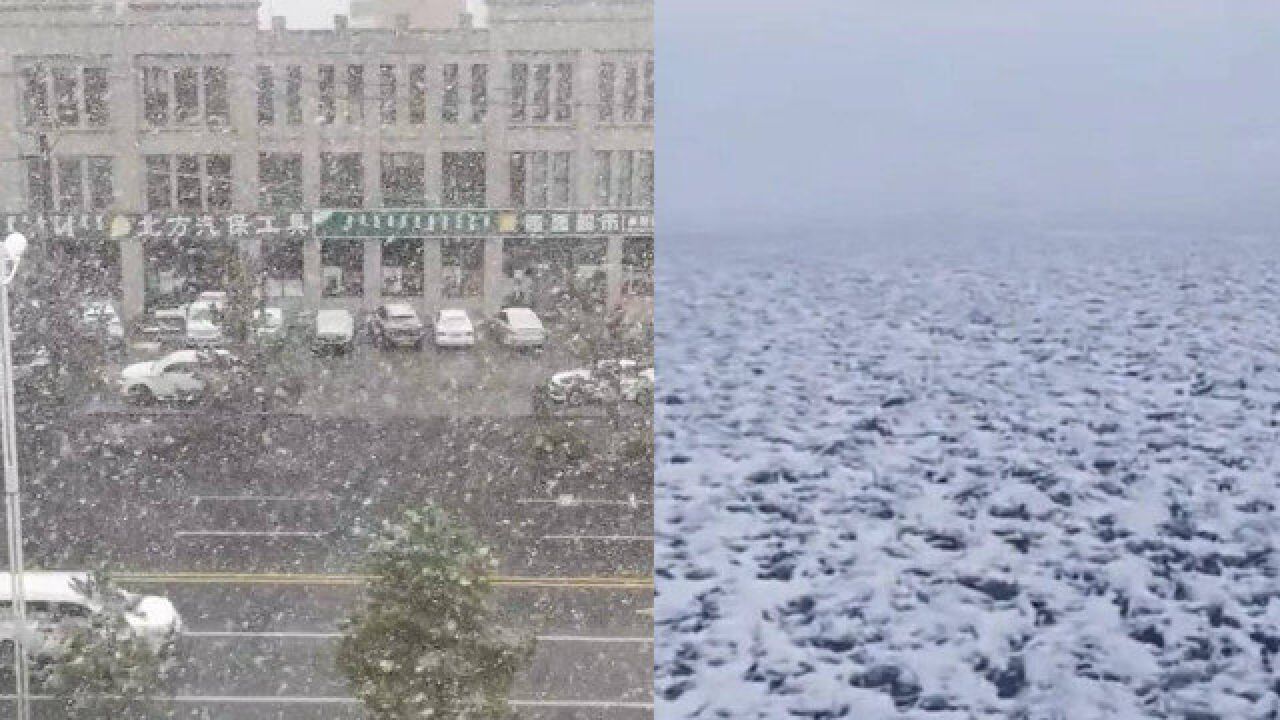 实拍内蒙古锡林浩特初雪:草原被积雪覆盖 气温单日降低超20℃