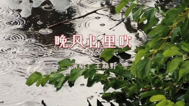 【音乐】王赫野《晚风心里吹》:温柔的晚风,吹拂着我们心中荡漾的心事,让人沉浸在其中!